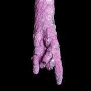Metallic Violet Horned Hand