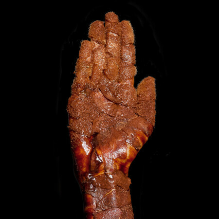 Chocolate Stigmata Open Hand